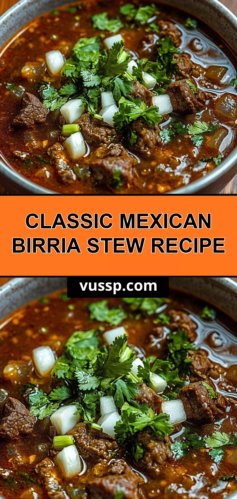 Classic Mexican Birria Stew Recipe