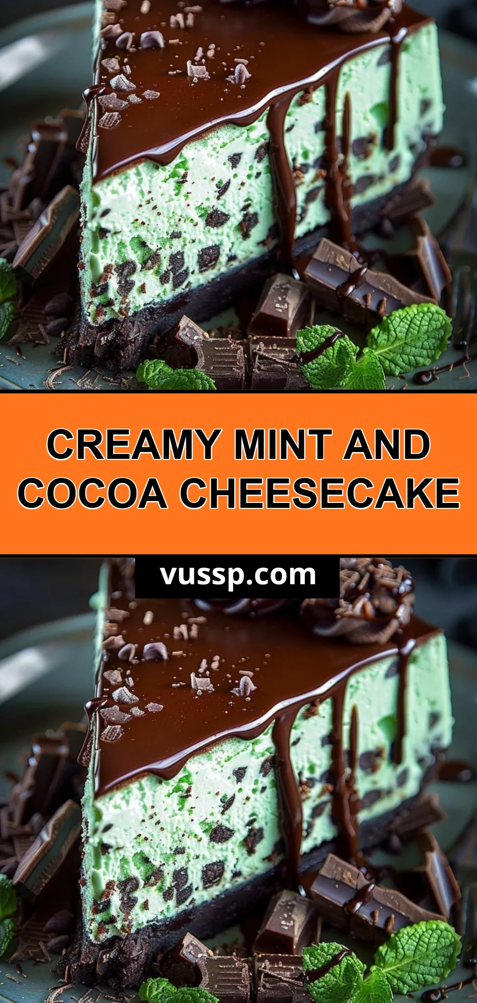 Creamy Mint and Cocoa Cheesecake