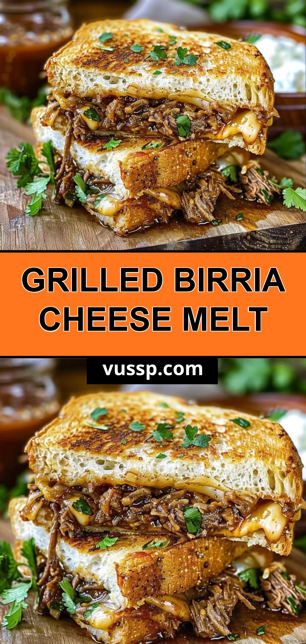 Grilled Birria Cheese Melt