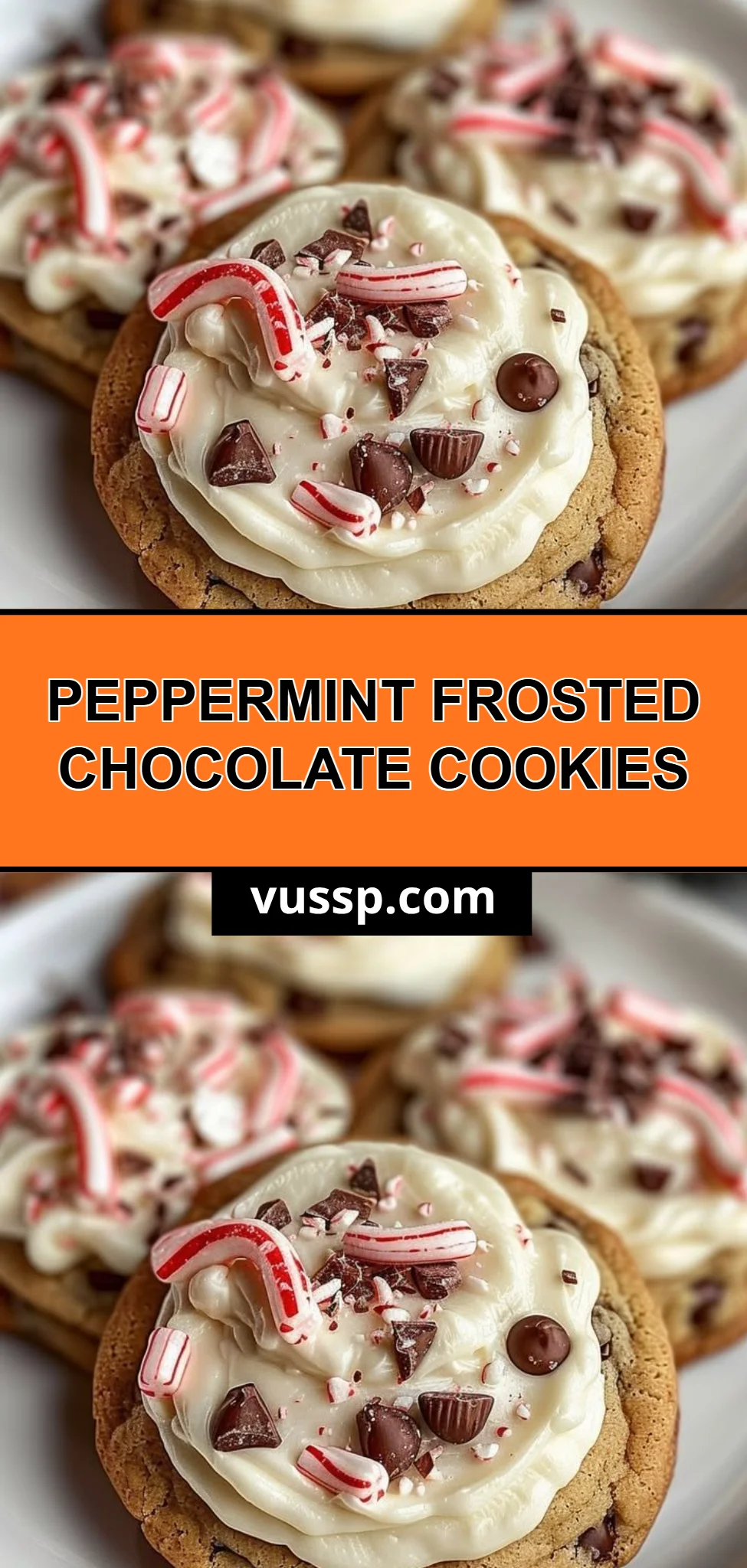Peppermint Frosted Chocolate Cookies