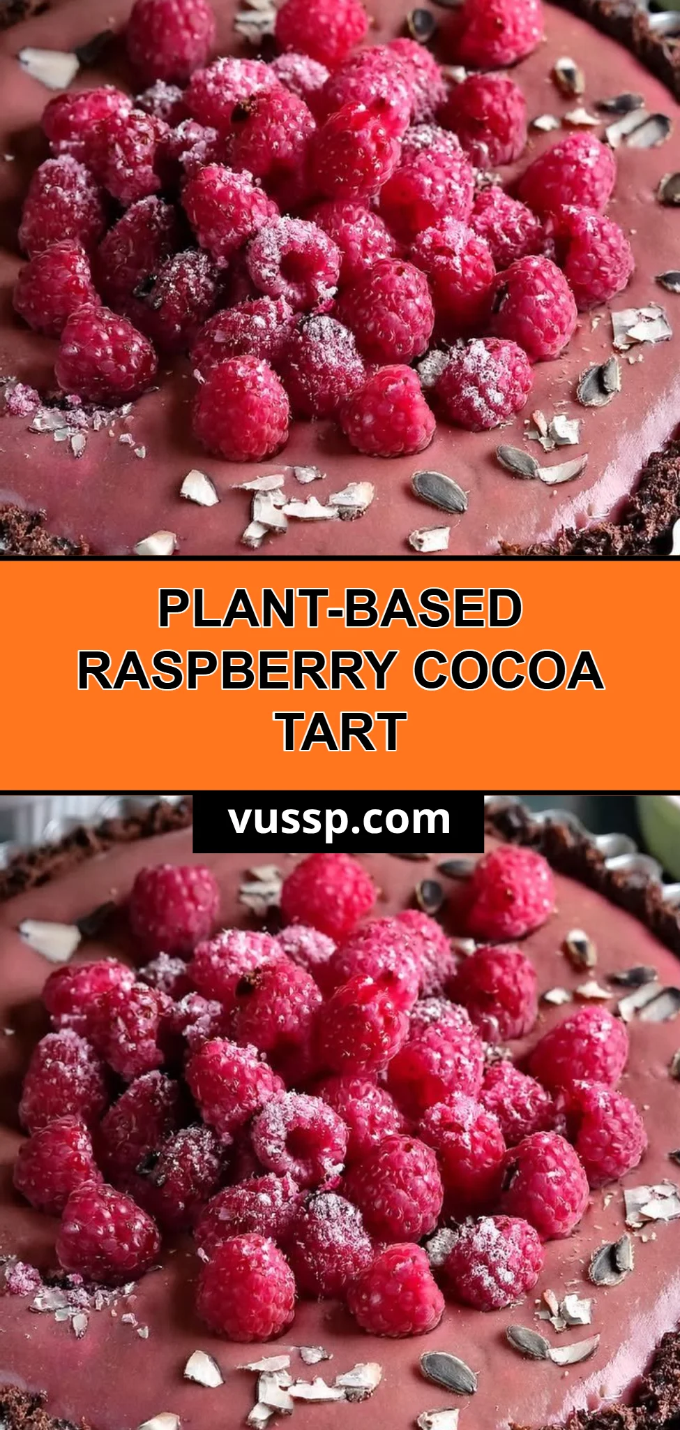 Plant-Based Raspberry Cocoa Tart
