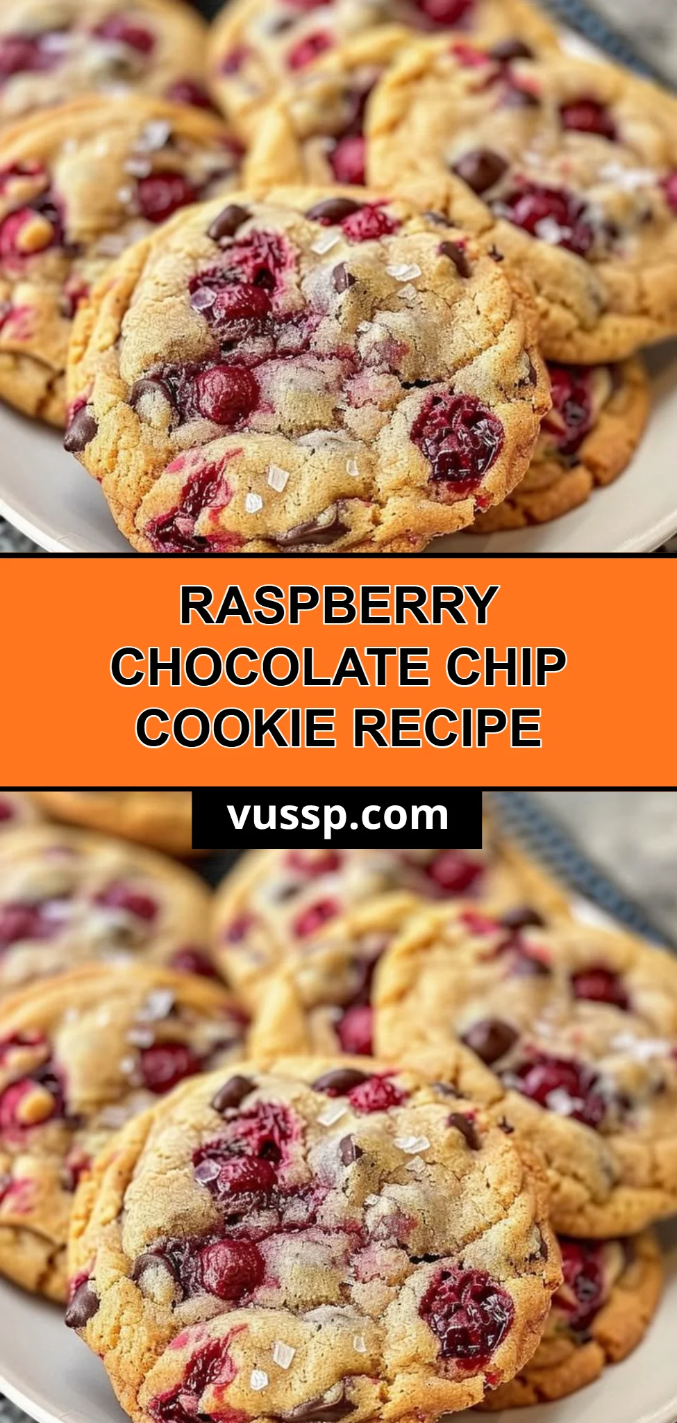 Raspberry Chocolate Chip Cookie Recipe