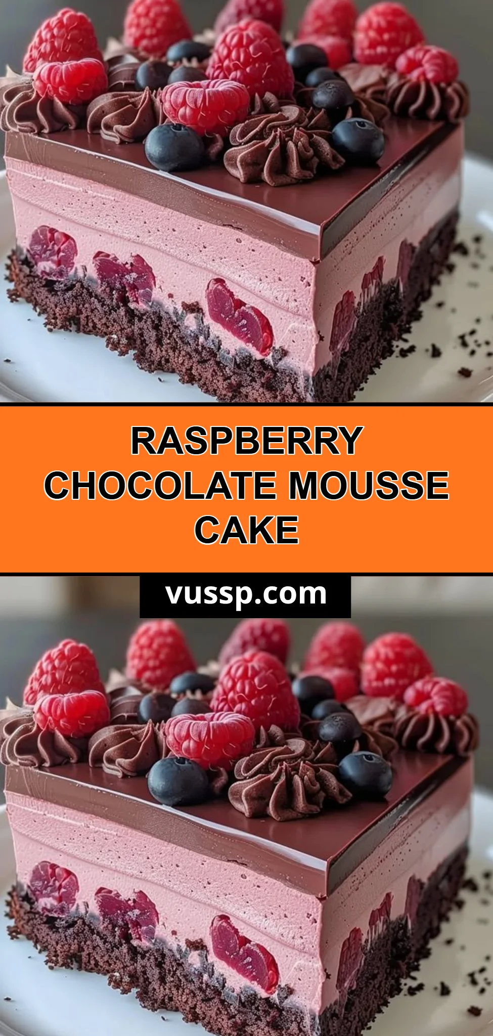 Raspberry Chocolate Mousse Cake