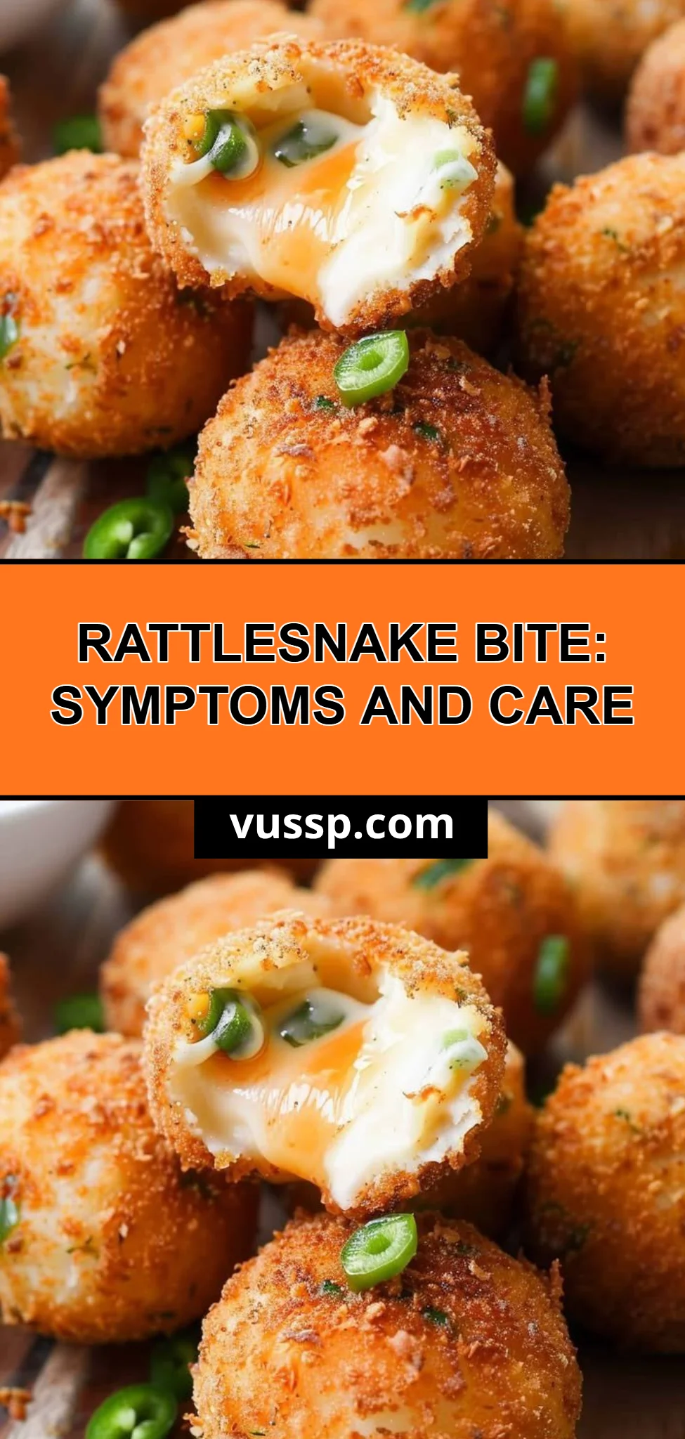 Rattlesnake Bite: Symptoms and Care
