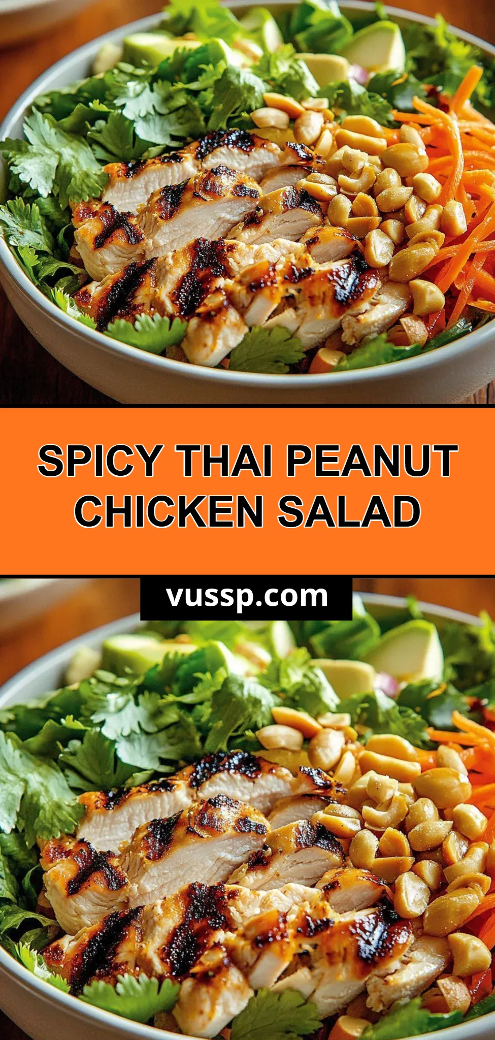 Spicy Thai Peanut Chicken Salad